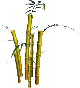 Bamboo PNG-63798